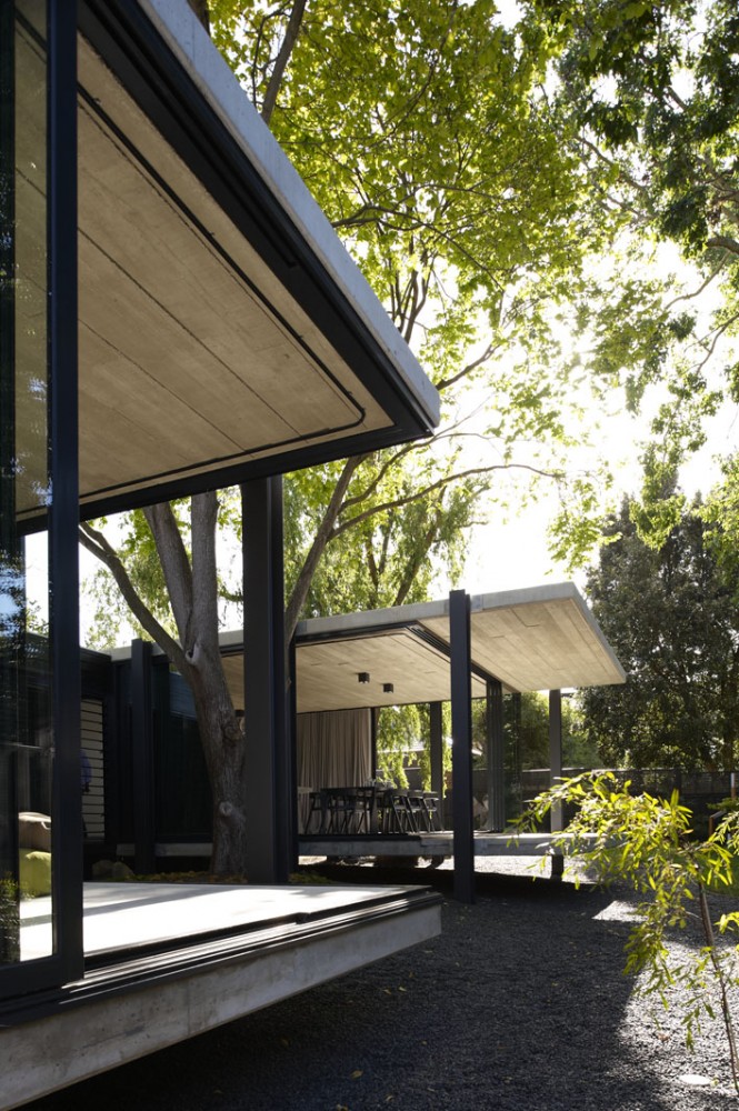 Elm & Willow House - Architects EAT © Earl Carter
