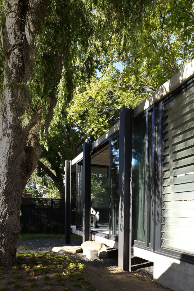Elm & Willow House - Architects EAT © Earl Carter