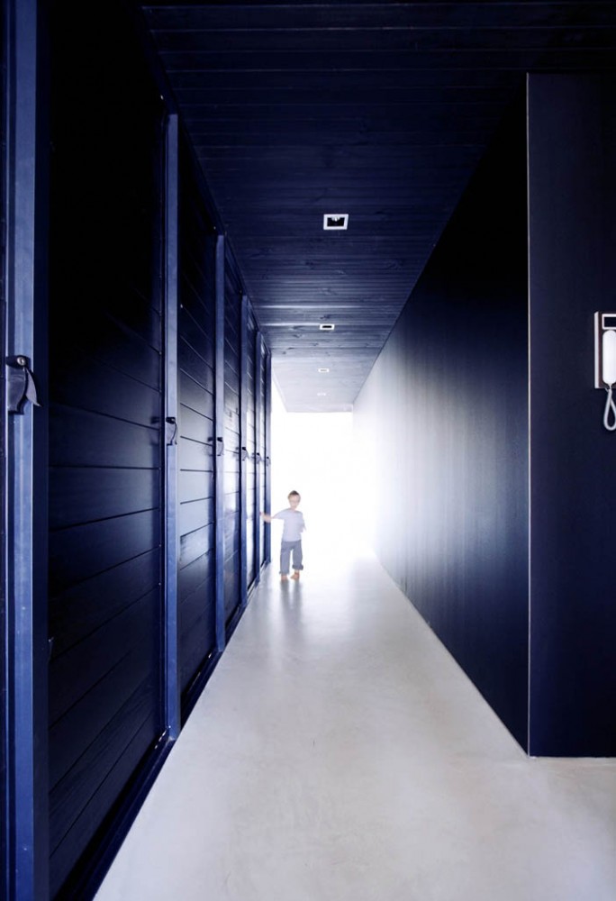 Elm & Willow House - Architects EAT © James Coombe