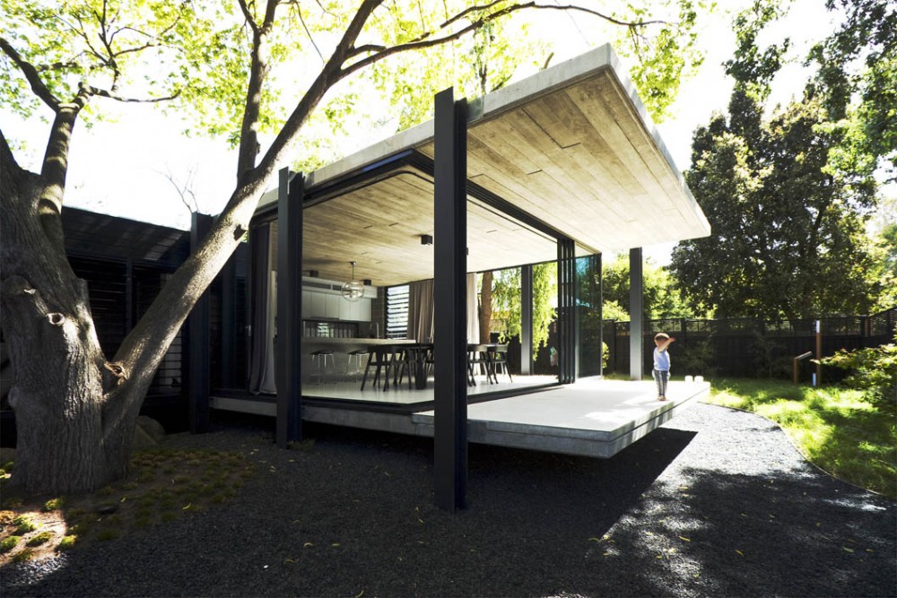Elm & Willow House / Architects EAT
