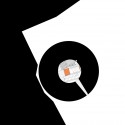 Castle-Tower Regensberg - L3P Architects plan 04