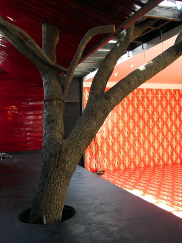 arbol_interior_002