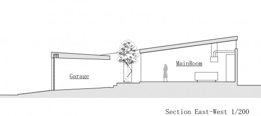 section