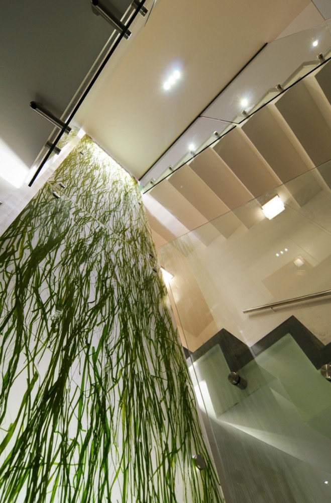 Lofts Yungay II / Rearquitectura