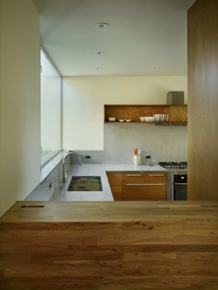 Backyard House / SHED Architecture & Design