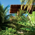 Tropical House - Camarim Architects Tropical House - Camarim Architects © Nic Olshiati