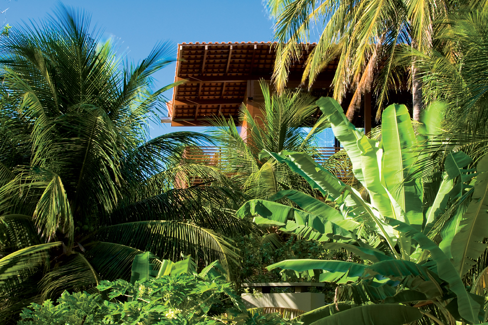 Tropical House - Camarim Architects © Nic Olshiati