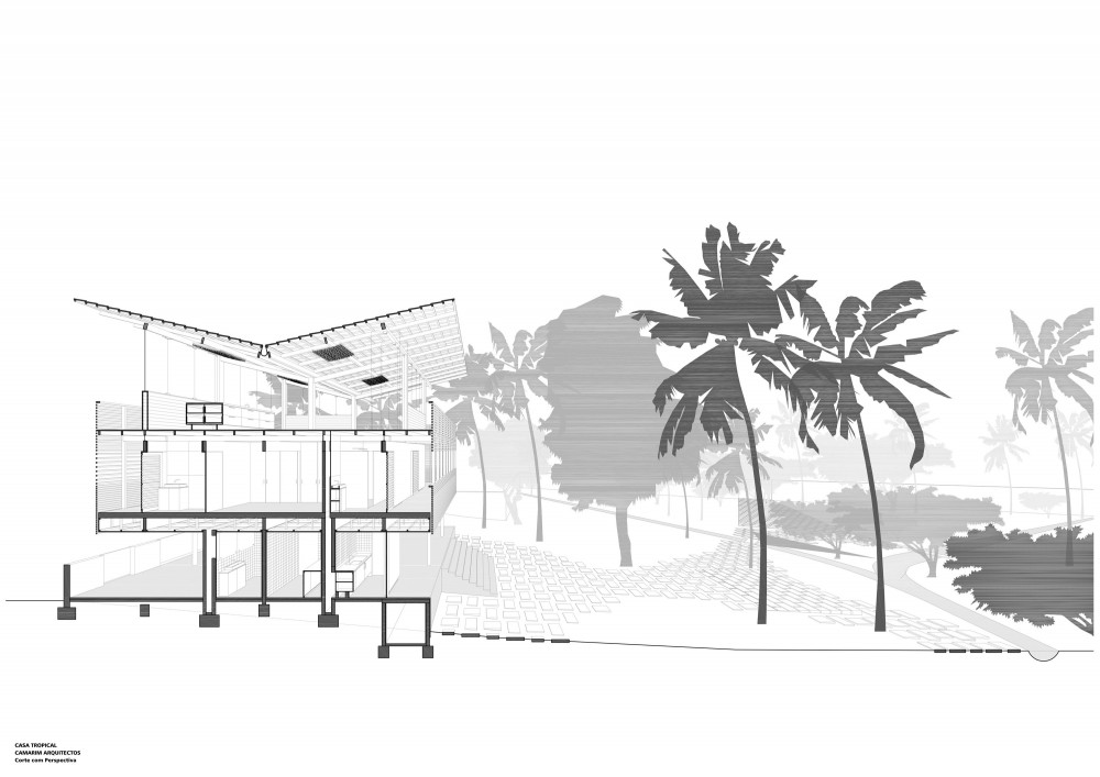 Tropical House - Camarim Architects perspective section