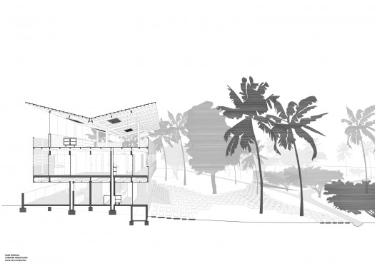 perspective section