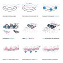 10hidingintriangles_schambelan+fromm 10hidingintriangles_schambelan+fromm 10hidingintriangles_schambelan+fromm