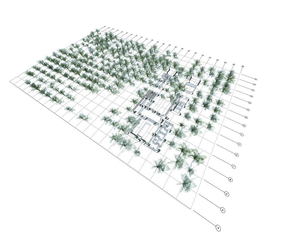 Orchard House - Anderson Anderson Architecture tree grid diagram