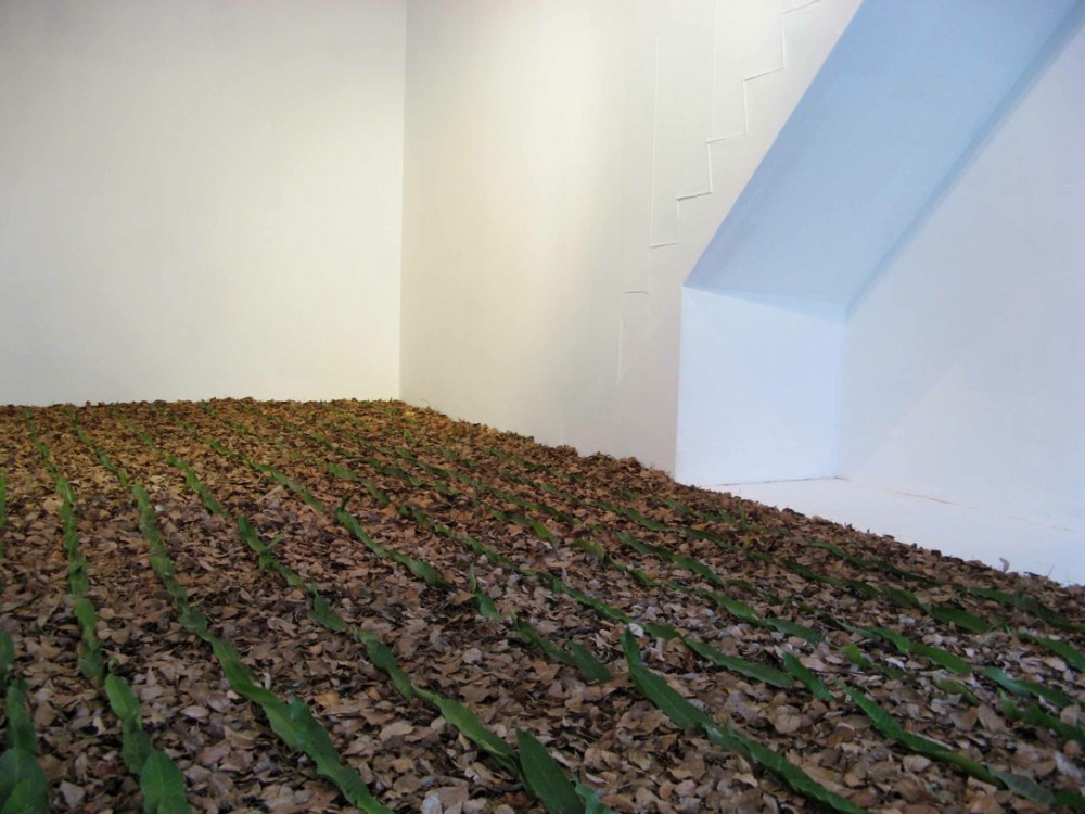 Path Room / Hata Lo + Arvo Tsai