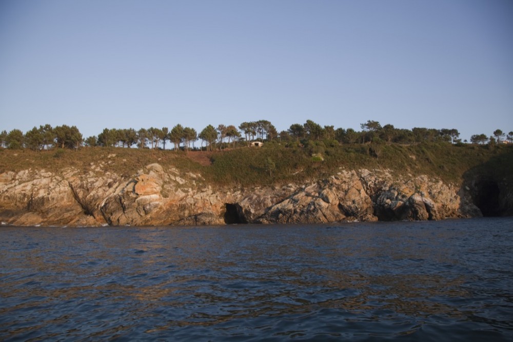 House - The Truffle - Ensamble Estudio © Ensamble Estudio