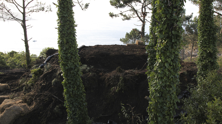 The Truffle / Ensamble Estudio
