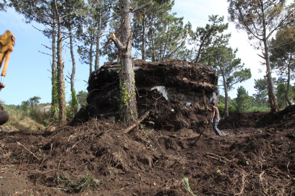 House - The Truffle - Ensamble Estudio © Ensamble Estudio