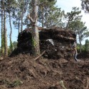 House - The Truffle - Ensamble Estudio © Ensamble Estudio