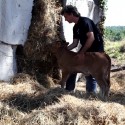 House - The Truffle - Ensamble Estudio © Ensamble Estudio