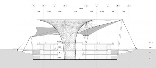 section