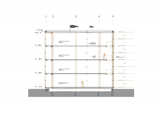 section