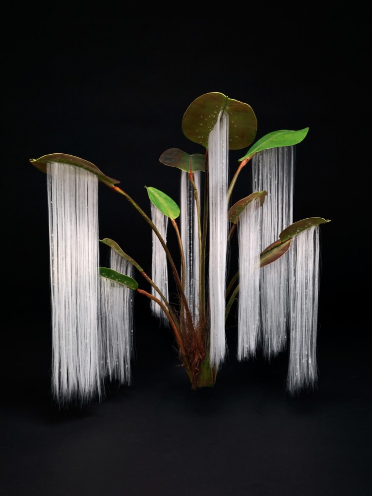 TROIKA_IM_EXPO_03_LIVING04 - Weeping Tree - black TROIKA_IM_EXPO_03_LIVING04 - Weeping Tree - black