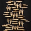 TROIKA_IM_EXPO_03_LIVING05  - Mushrooms - black TROIKA_IM_EXPO_03_LIVING05  - Mushrooms - black