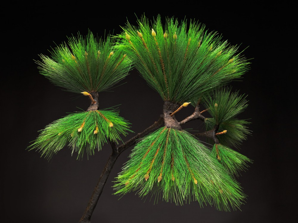 TROIKA_IM_EXPO_03_LIVING06 - Messenger Tree -  black TROIKA_IM_EXPO_03_LIVING06 - Messenger Tree -  black