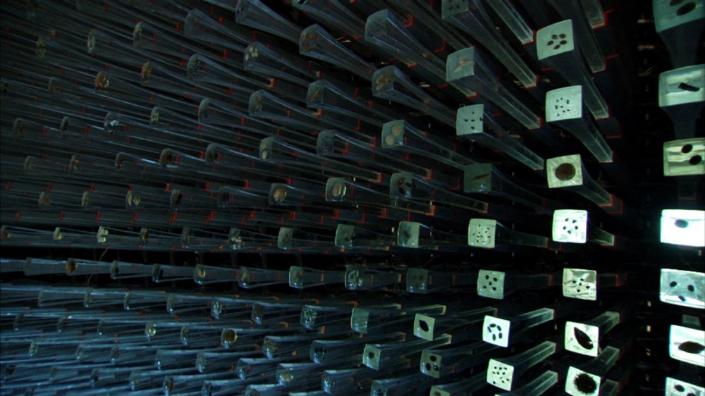 UK Pavilion for Shanghai World Expo 2010 / Heatherwick Studio