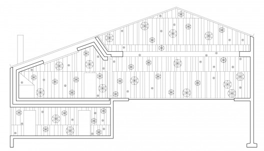 section