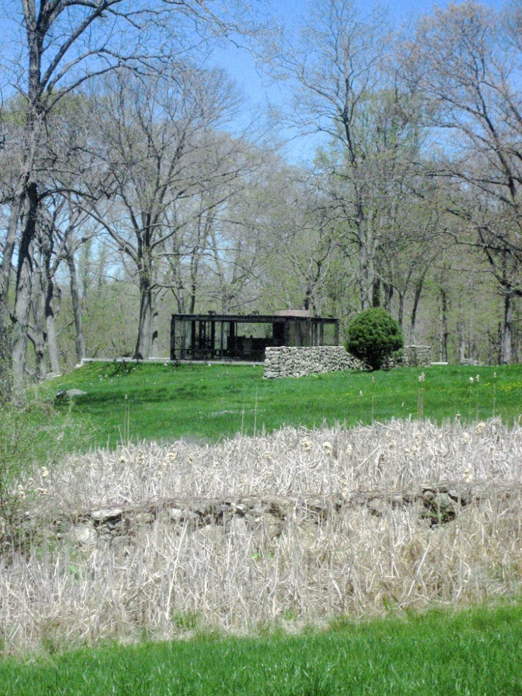 AD Classics: The Glass House / Philip Johnson