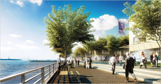 2010_3_nyu1