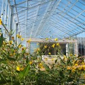 Glass House - Unit Arkitektur AB Glass House - Unit Arkitektur AB © Unit Arkitektur