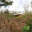 House - A forest for a Moon Dazzler - Benjamin Garcia Saxe © Courtesy of Benjamin Garcia Saxe