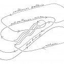 New Acropolis Museum - Bernard Tschumi Architects New Acropolis Museum - Bernard Tschumi Architects sketch 01