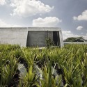 _AV_4375 © Courtesy of mamostudio