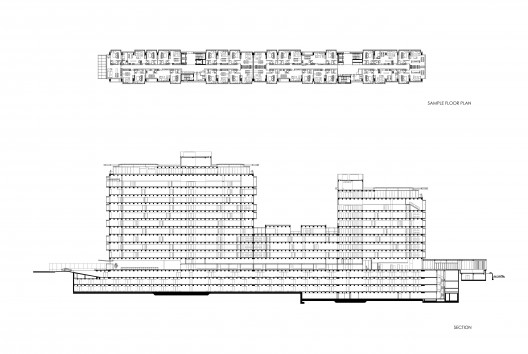 section