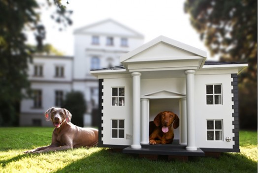dog_mansion_alabama