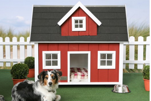 dog_mansion_loenneberga