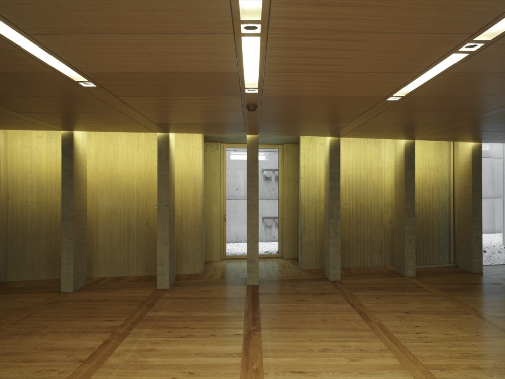 National Parliament Principality of Liechtenstein / Hansjoerg Goeritz Architekturstudio