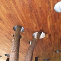 House in the Woods - Parque Humano