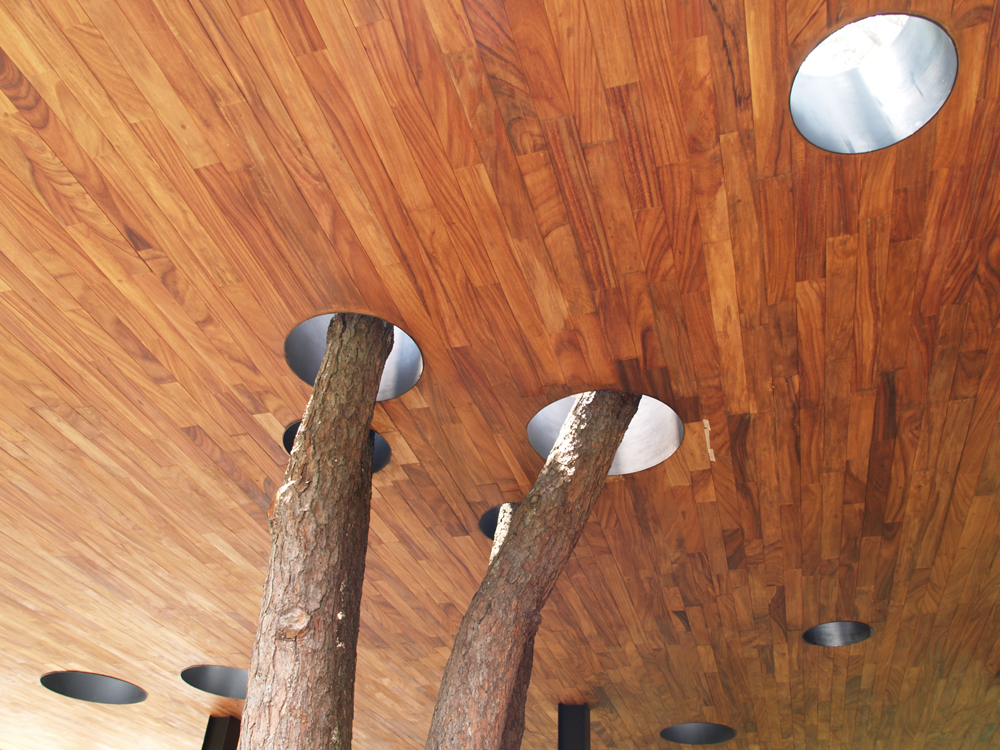 House in the Woods / Parque Humano