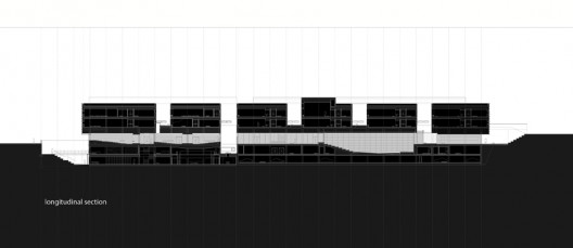 section