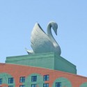 swan4 © James Cornetet - critiquethis.us