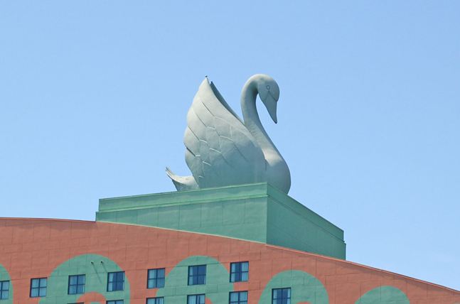 swan4 © James Cornetet - critiquethis.us