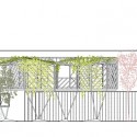 ALZADO_color elevation