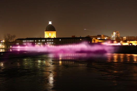 Night zoom rose