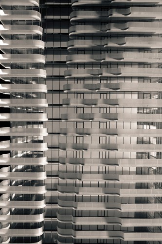 © Mehrdad Tavakkolian