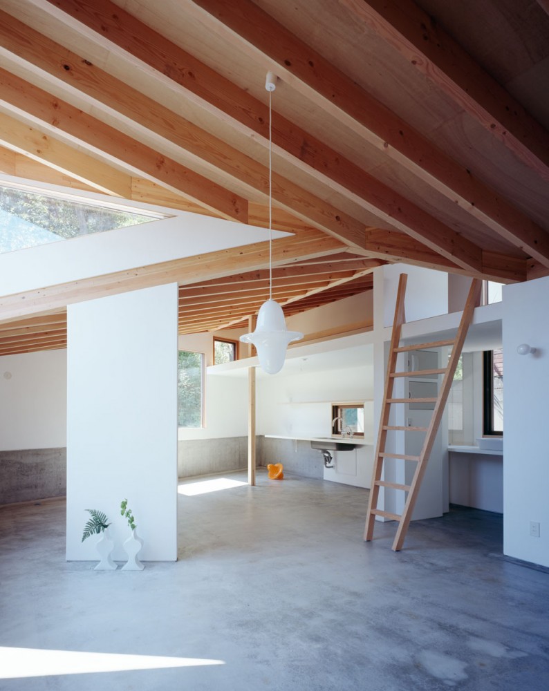 The Two Houses in Kamakura / Cell Space Architects