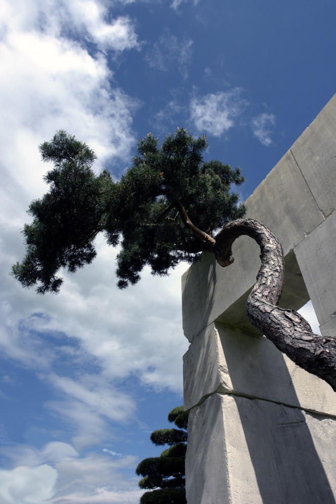 Tree Museum / Enea Garden Design