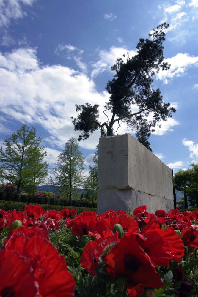 Tree Museum / Enea Garden Design