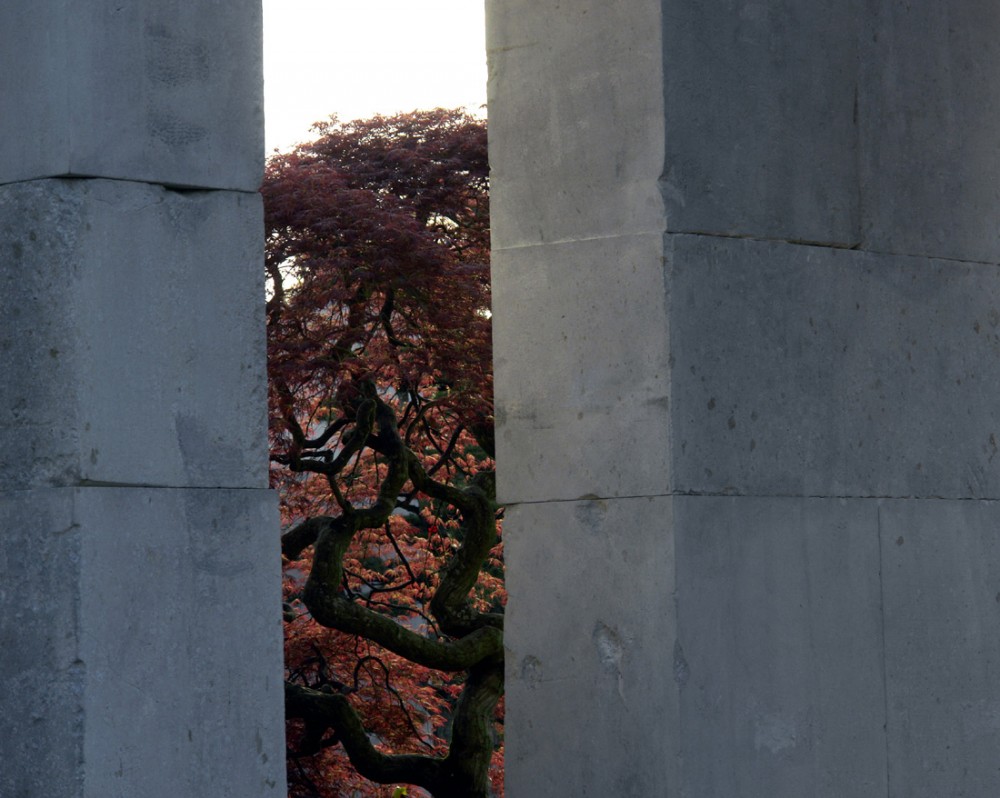 Tree Museum / Enea Garden Design
